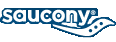 Saucony Running Shoes