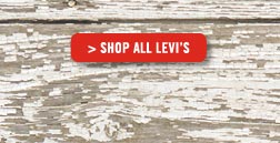 Shop Levi's Shoes